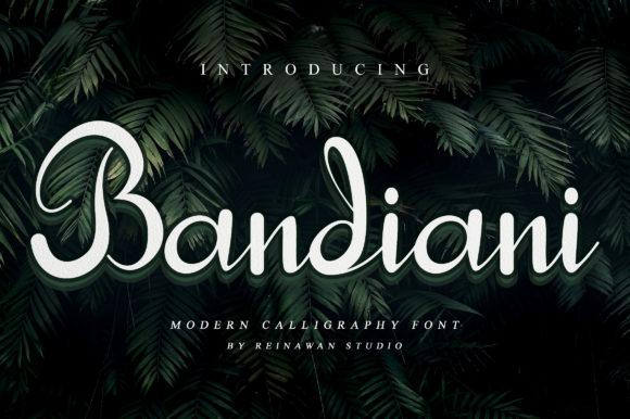 Bandiani: A Delicate Handwritten Font for Campaign Headlines