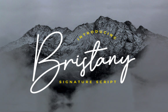 Bristany: A Font for Business Style