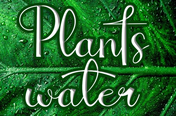 Plantswater: A Beautiful Script Font