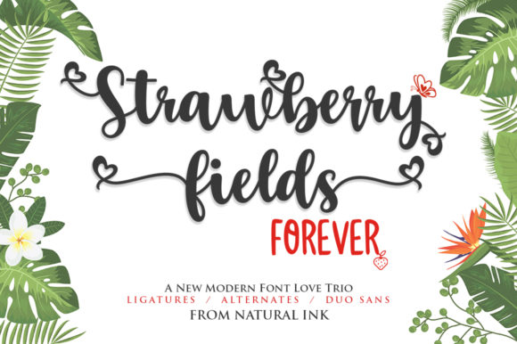 Strawberry Fields Forever: A Handwritten Font That Feels Human on Screen